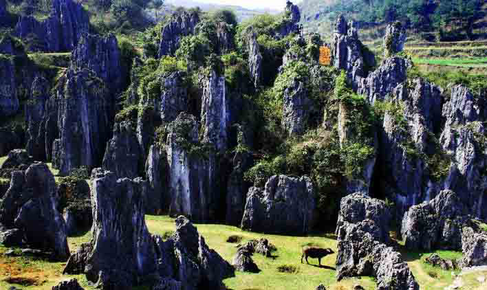 铜仁最美的10大景区：除了梵净山之外，还有哪里值得一去？